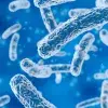 Infectious diseases image