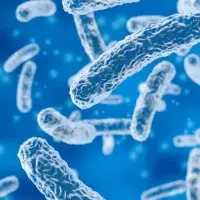 Infectious diseases image